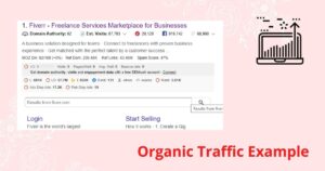 Organic-Search-Traffic-Example